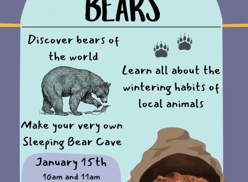 Little Explorers with Bears