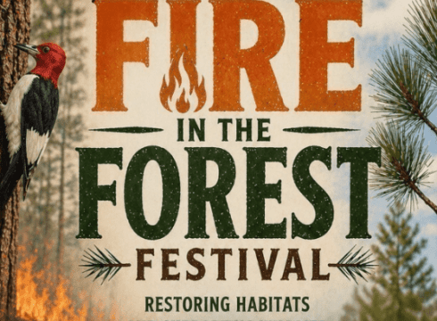 FIRE IN THE PINES DEMONSTRATION