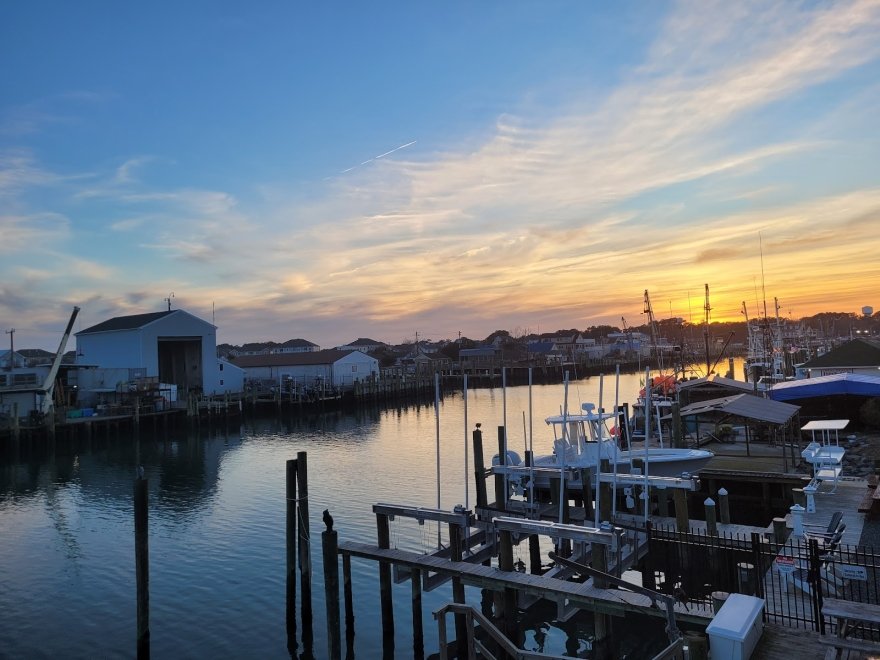 The Shark on the Harbor Restaurant