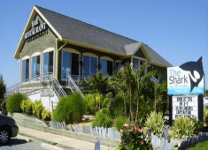 The Shark on the Harbor Restaurant