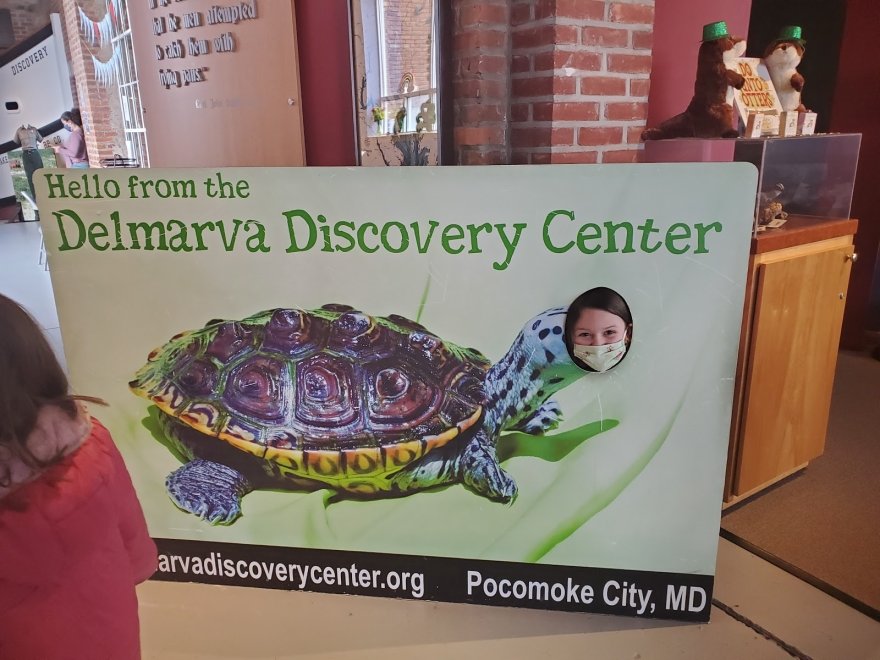 Delmarva Discovery Museum