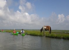 Assateague Outfitters