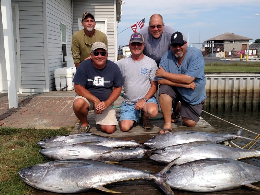 Fin Chaser Sportfishing Charters