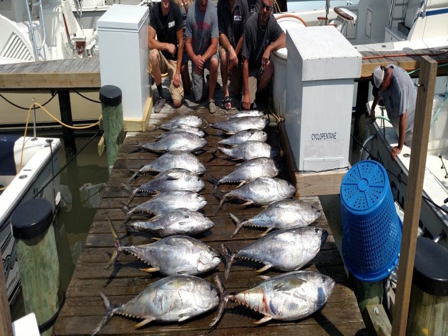 Fin Chaser Sportfishing Charters