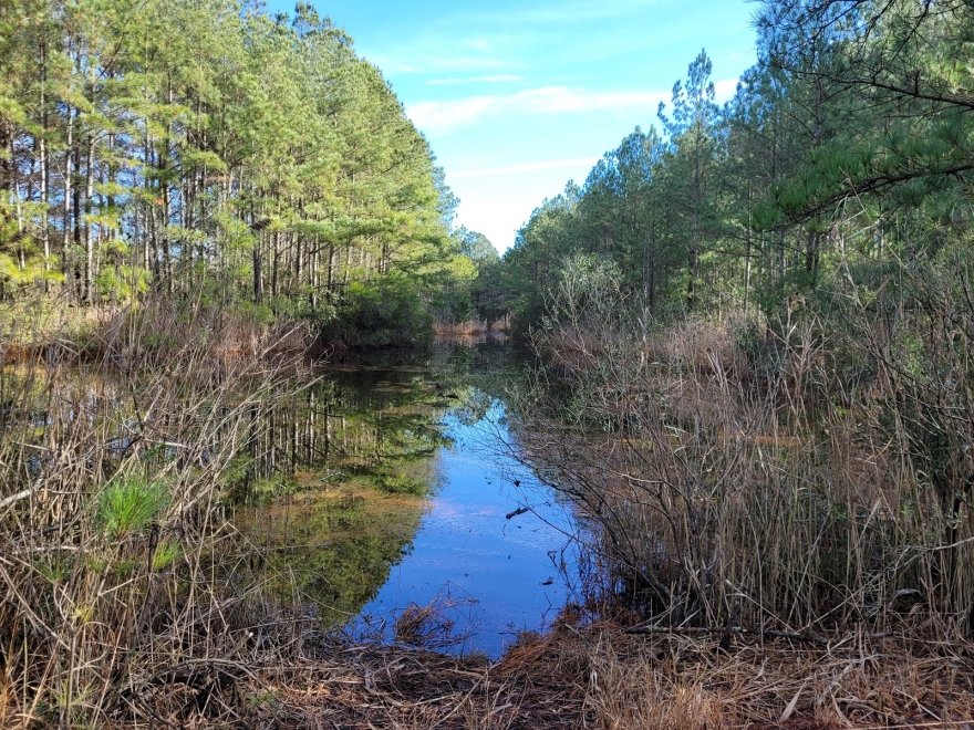 Herring Creek Nature Park