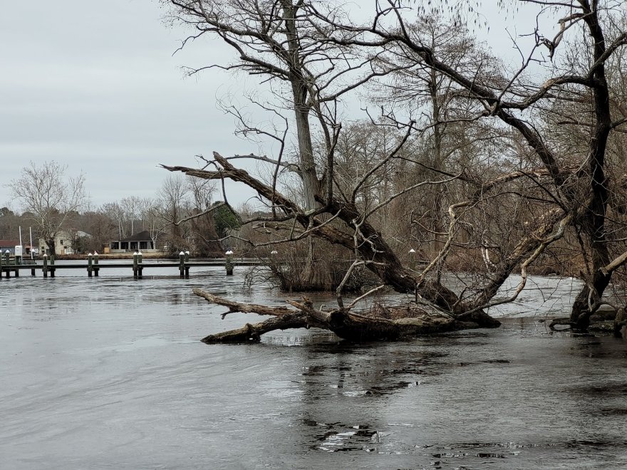 Byrd Park