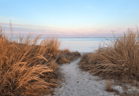 Venture Outdoors This Winter Along Maryland’s Coast