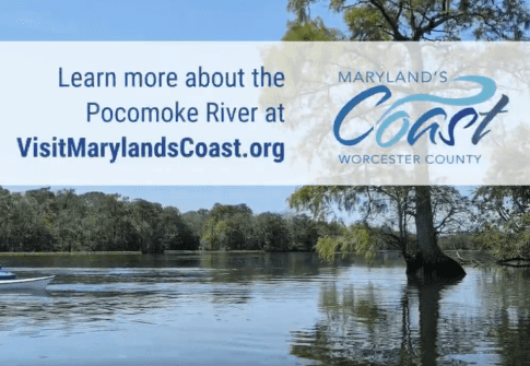 On-the-Water Experiences Along the Pocomoke River